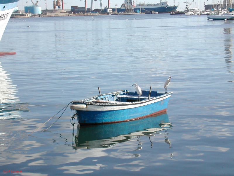 DSCN0345.JPG