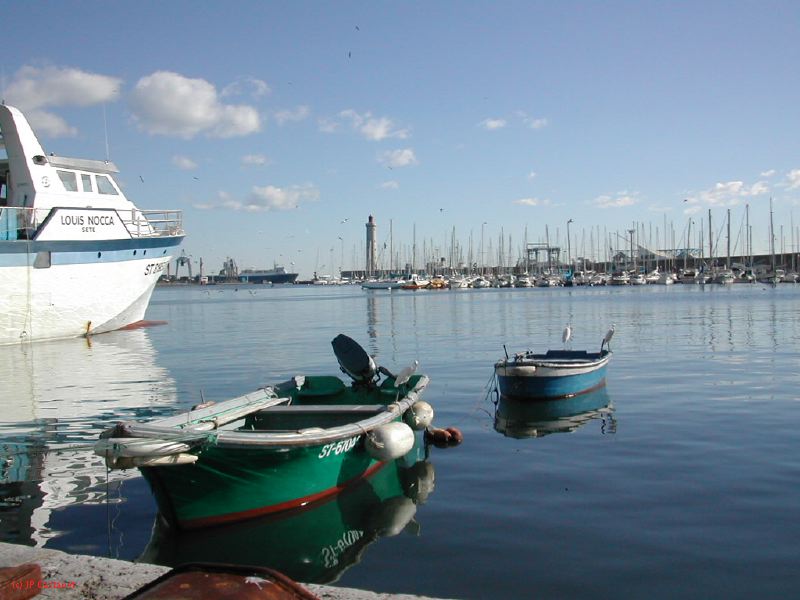 DSCN0346.JPG