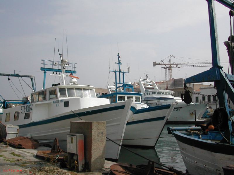 DSCN3381.JPG