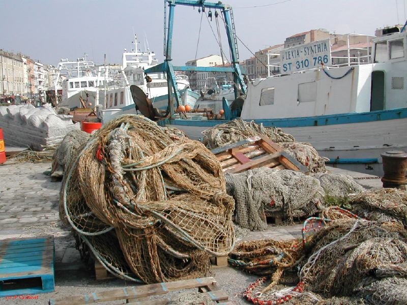 DSCN3384.JPG