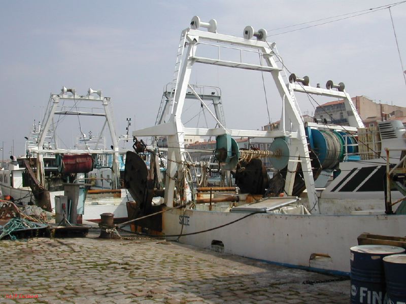 DSCN3388.JPG
