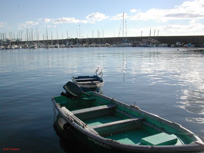 DSCN0347.JPG