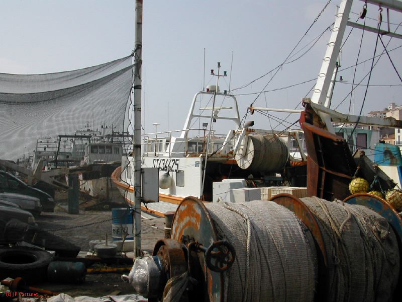DSCN3410.JPG