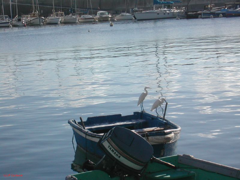 DSCN0349.JPG