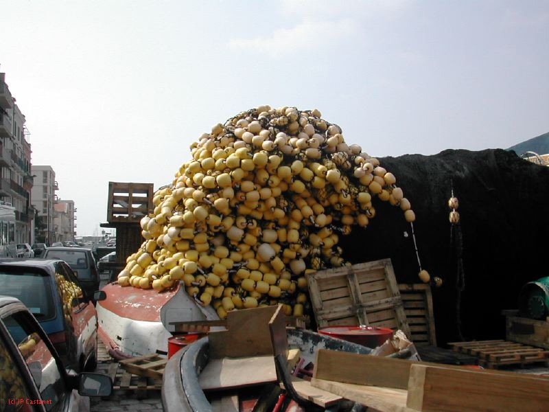 DSCN3421.JPG