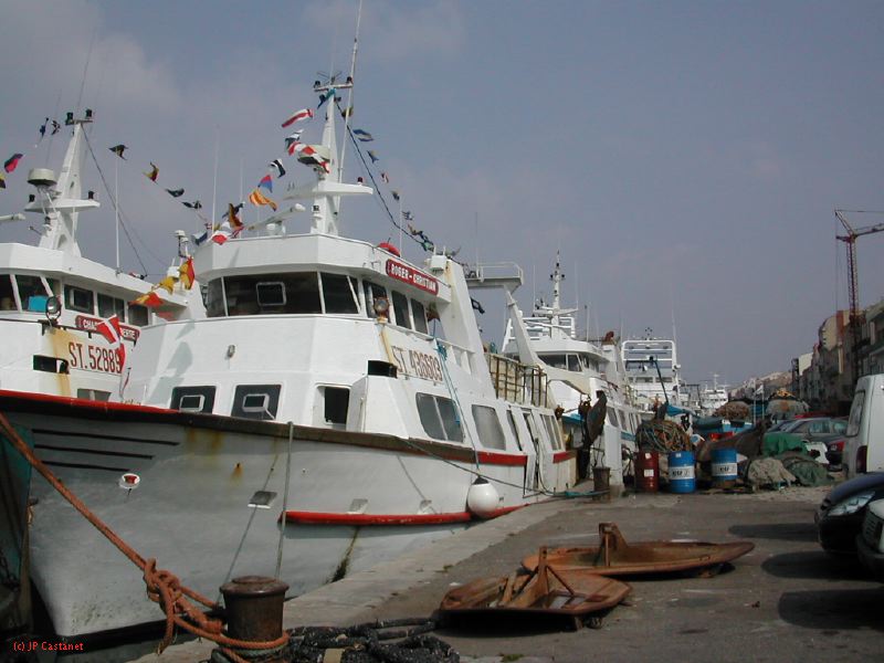 DSCN3434.JPG