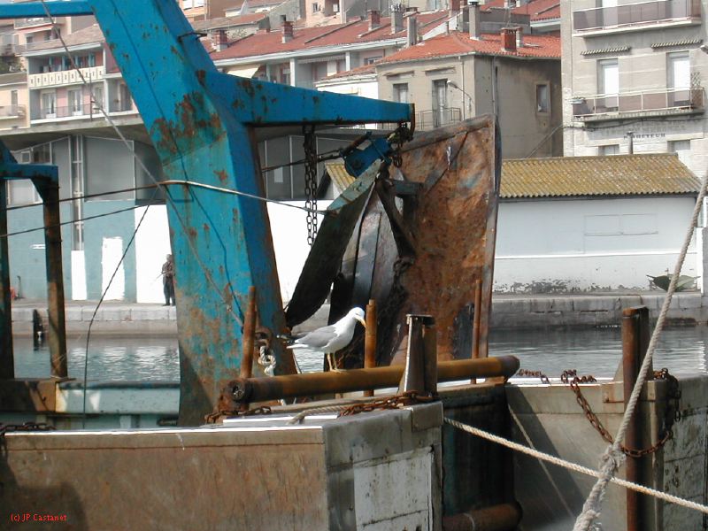 DSCN3439.JPG