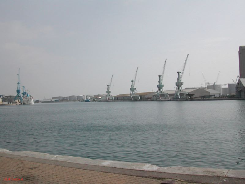 DSCN3469.JPG