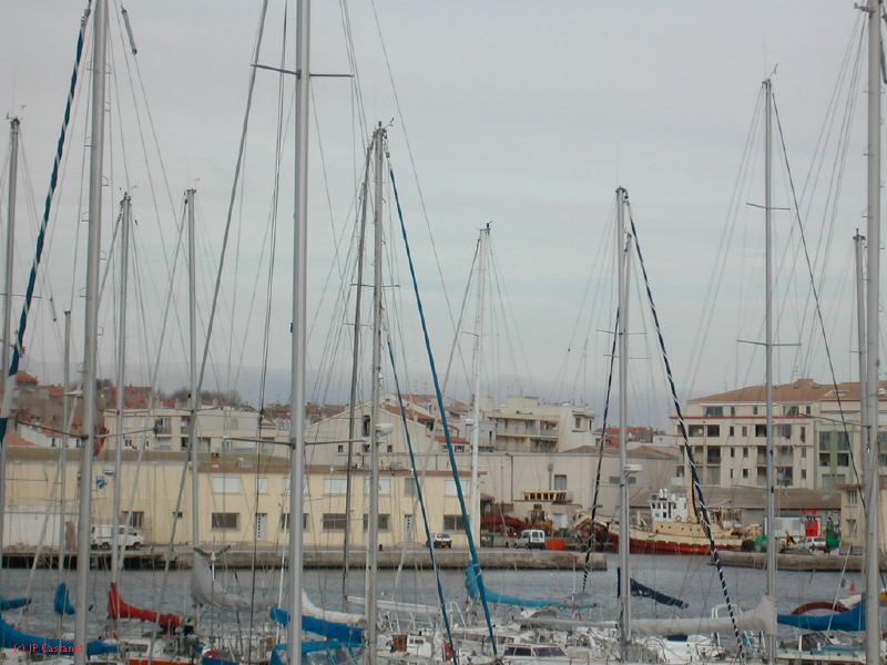 DSCN0461.JPG