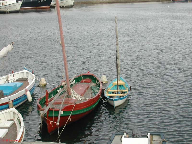 DSCN0470.JPG