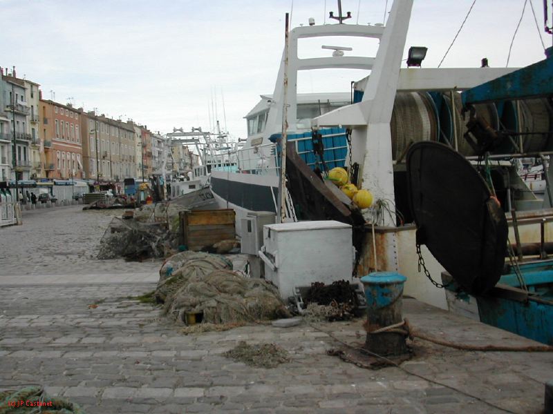 DSCN0479.JPG