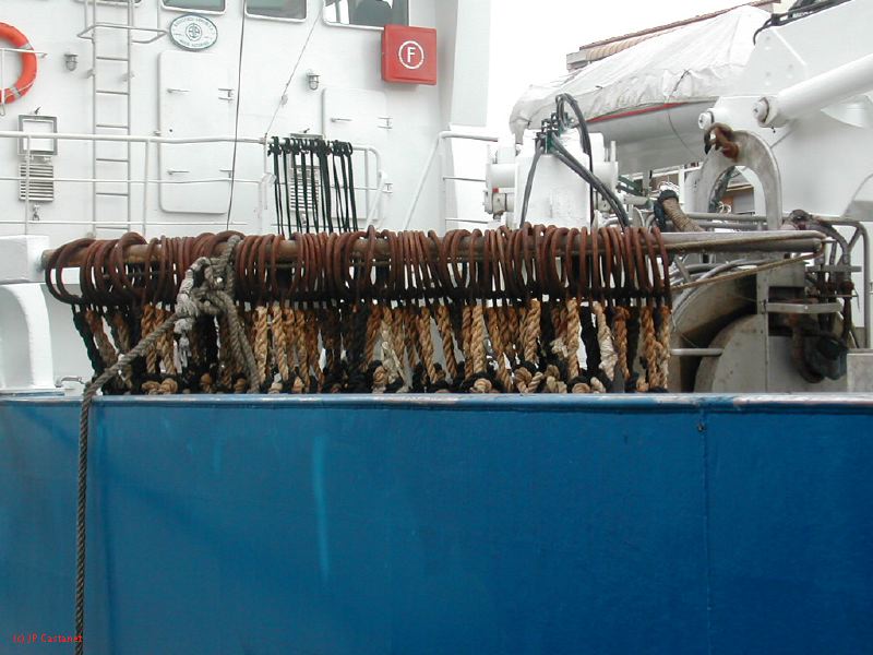 DSCN0493.JPG