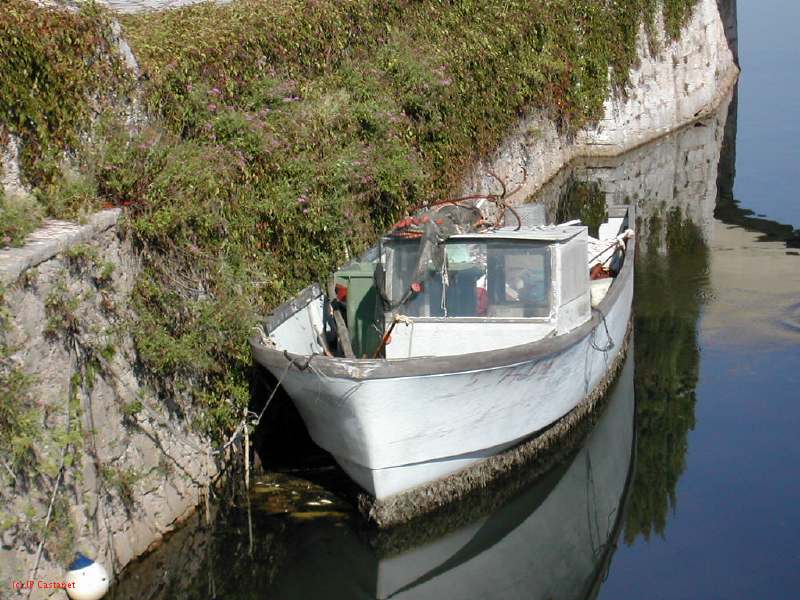 DSCN1791.JPG
