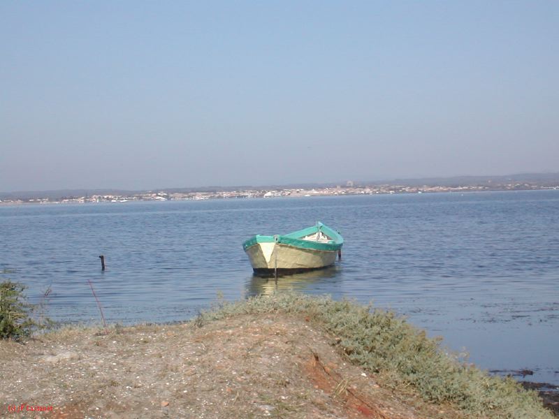 DSCN1797.JPG