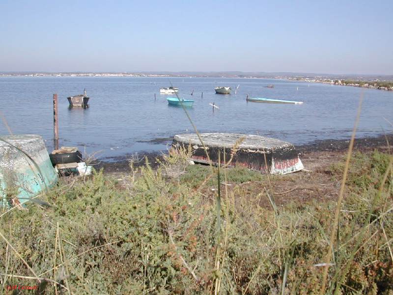 DSCN1799.JPG