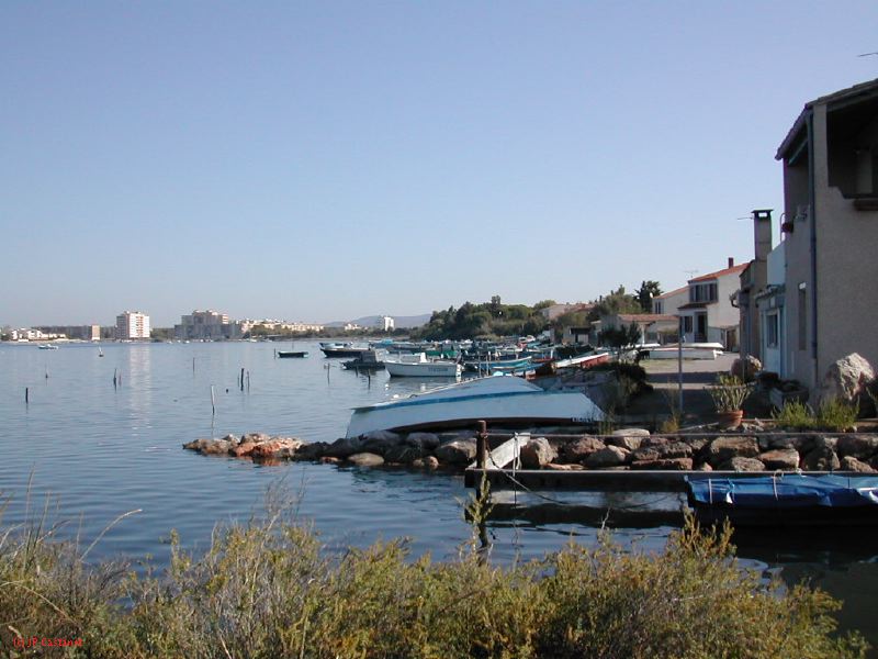 DSCN1803.JPG