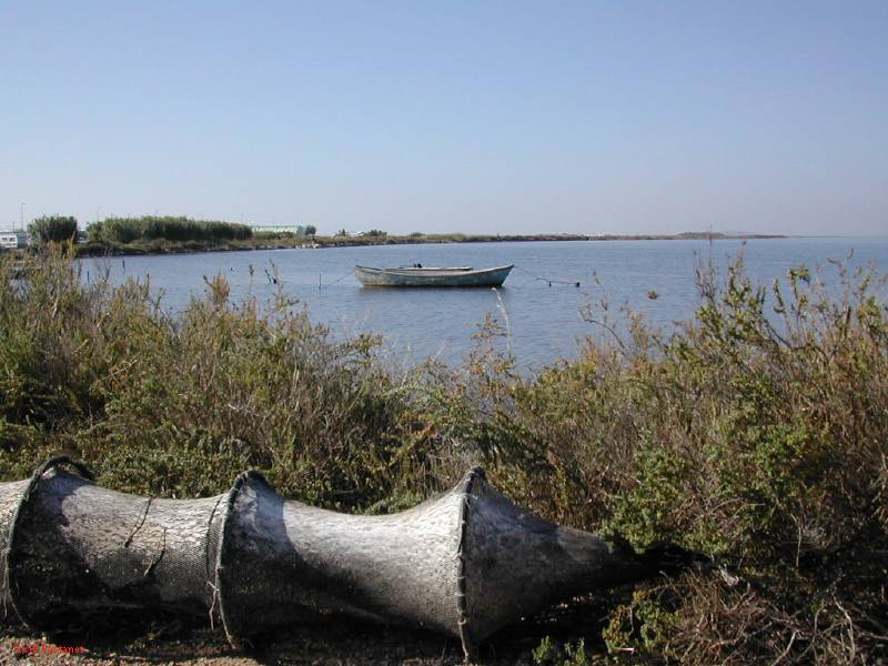 DSCN1807.JPG