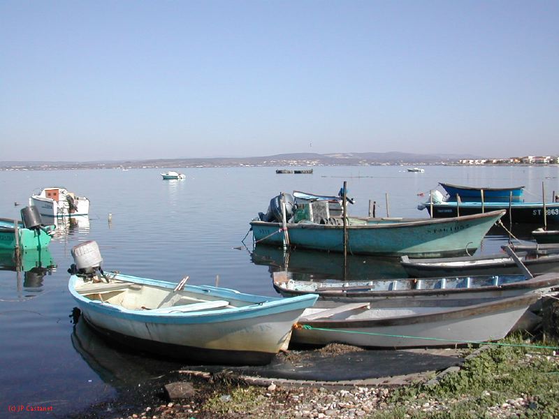 DSCN1819.JPG