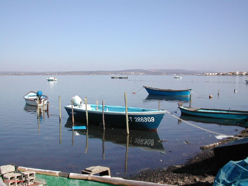 DSCN1820.JPG