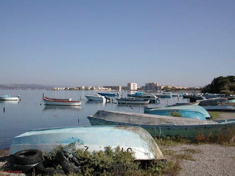 DSCN1822.JPG