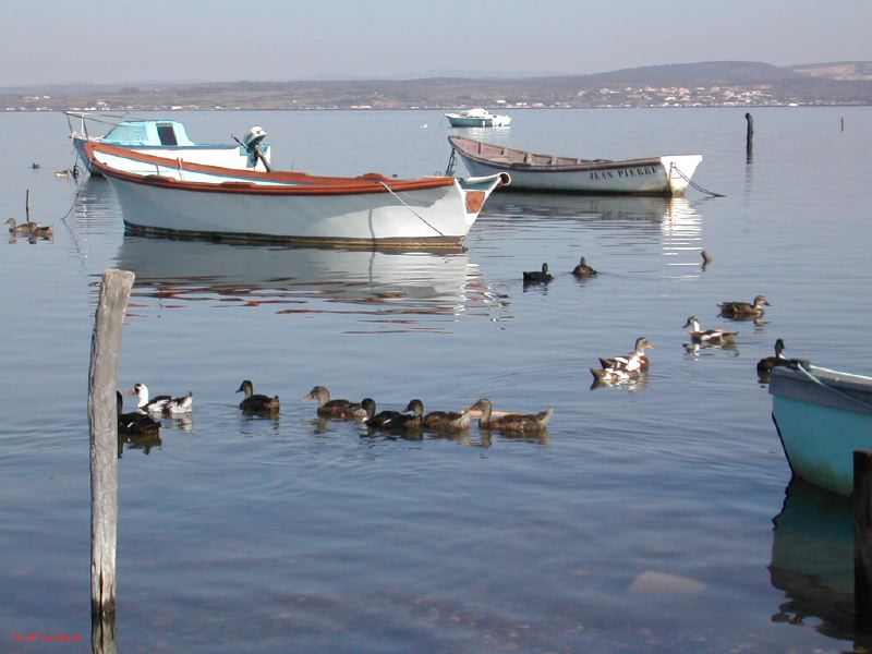 DSCN1824.JPG