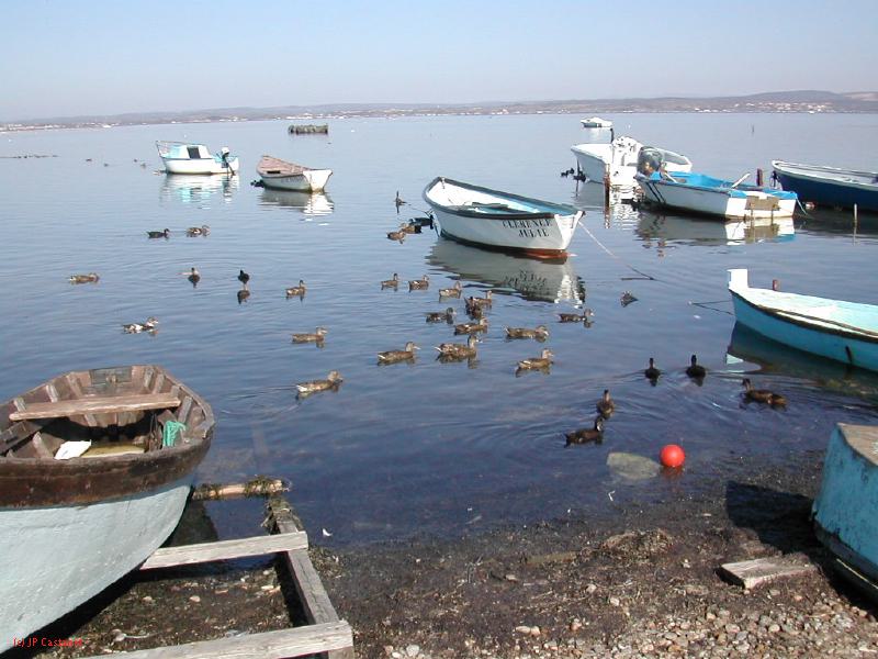 DSCN1825.JPG