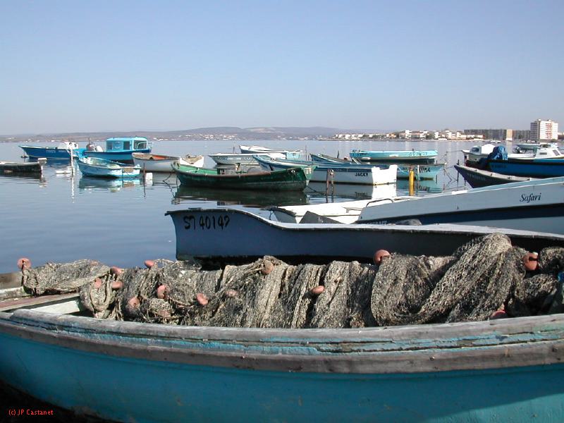 DSCN1830.JPG