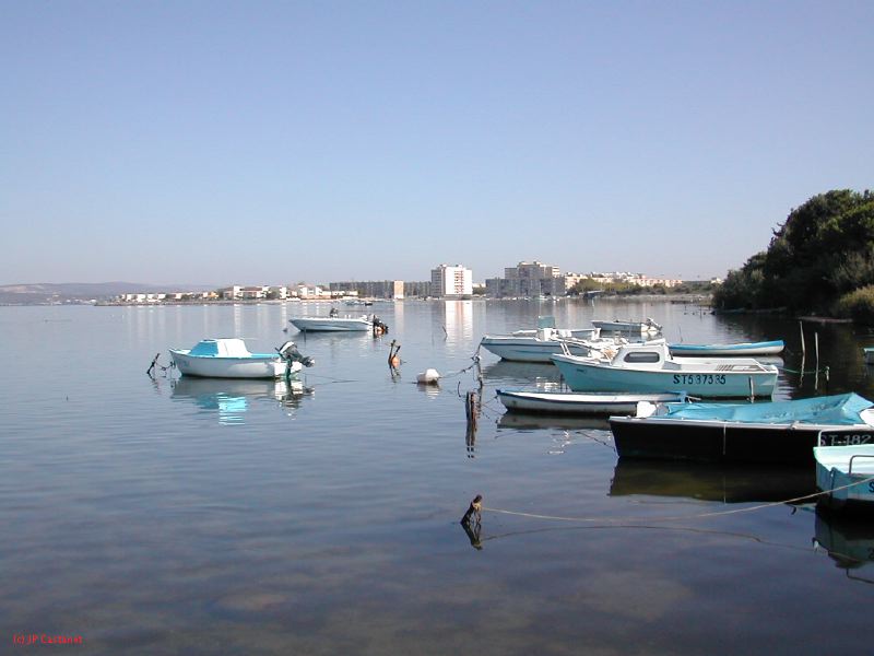 DSCN1833.JPG