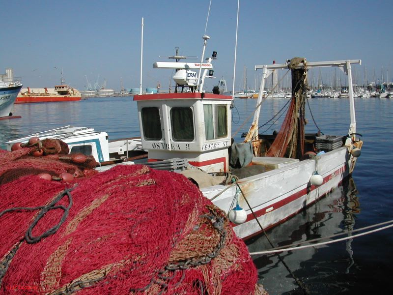 DSCN2099.JPG