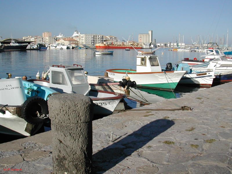 DSCN2136.JPG