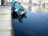 DSCN2768.JPG