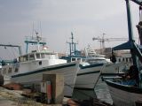 DSCN3381.JPG