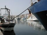DSCN3406.JPG