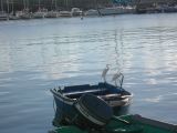 DSCN0349.JPG