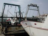 DSCN3416.JPG