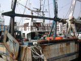 DSCN3417.JPG