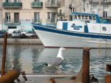 DSCN3440.JPG