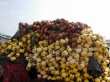 DSCN3478.JPG