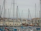 DSCN0461.JPG