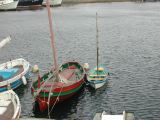 DSCN0470.JPG