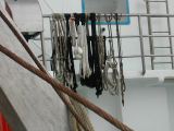 DSCN0489.JPG