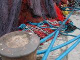DSCN0492.JPG