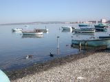 DSCN1823.JPG