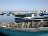 DSCN1830.JPG
