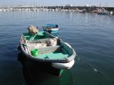 DSCN2101.JPG