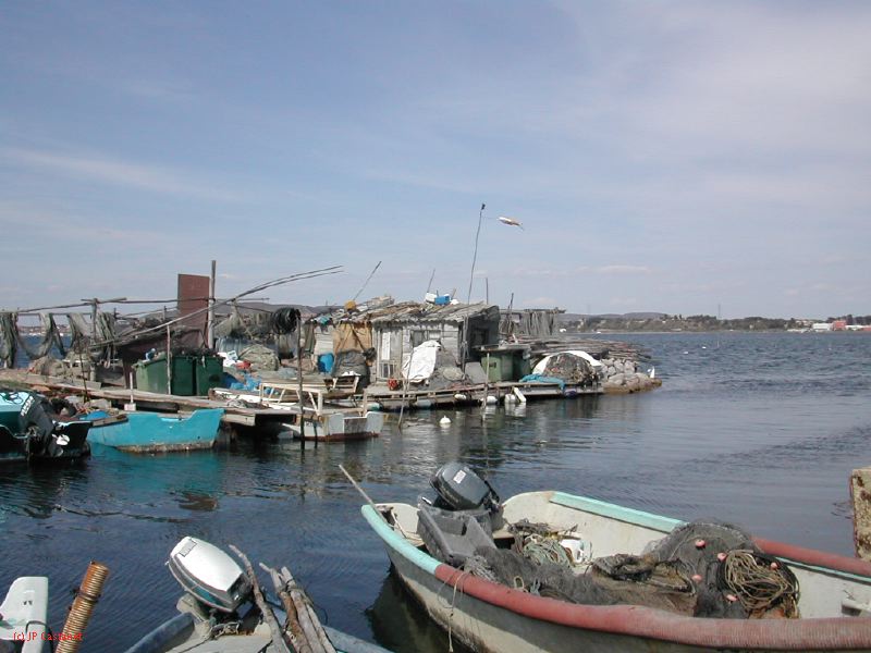 DSCN3779.JPG