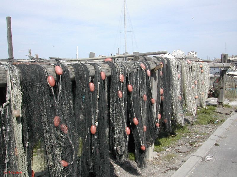 DSCN3784.JPG