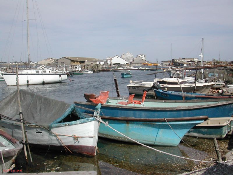 DSCN3787.JPG