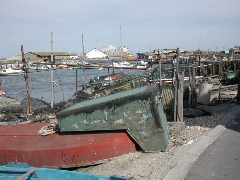 DSCN3794.JPG