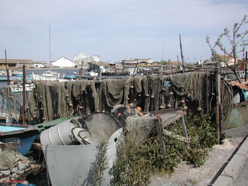 DSCN3797.JPG